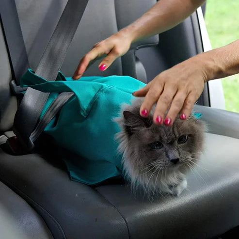 KittyKarry™ Cat Carrier Pouch