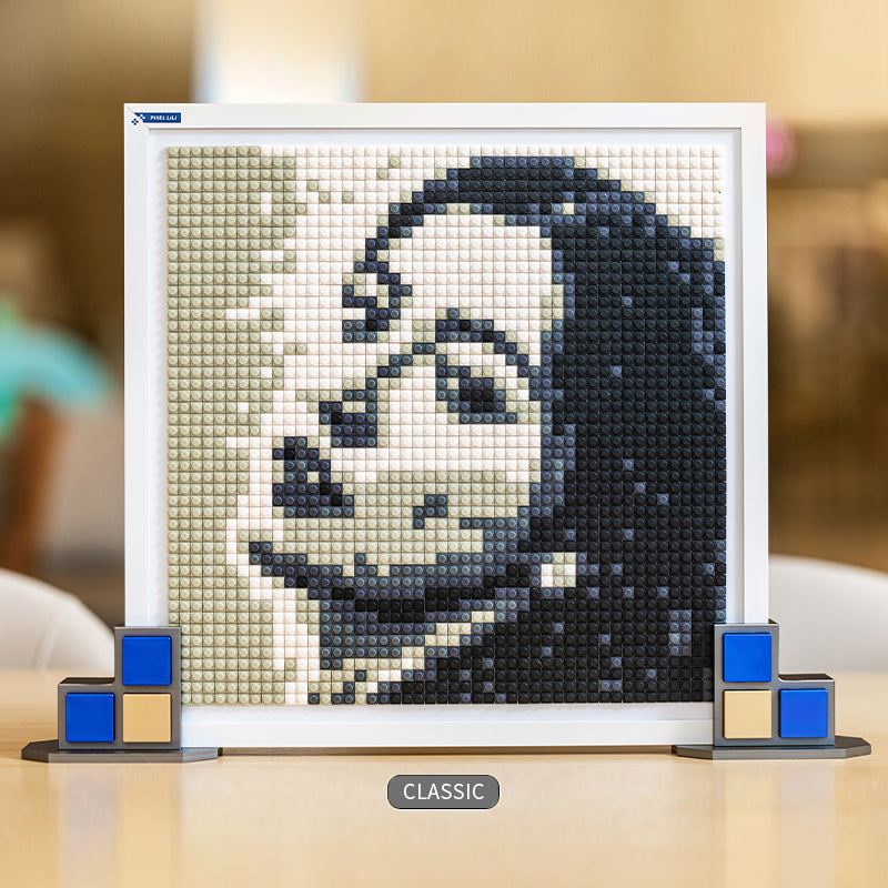 PIXEL LiLi™ Exclusive Dual-sided Pixel Puzzle